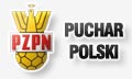 Puchar Polski