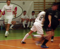 Kupczyk Bosch-Dzikie Węże