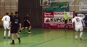 Kupczyk Bosch-Dzikie Węże